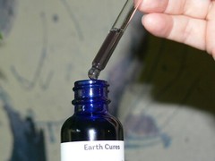 Ghost Pipe Extract 2 ounces Wildcrafted pain relief free shipping