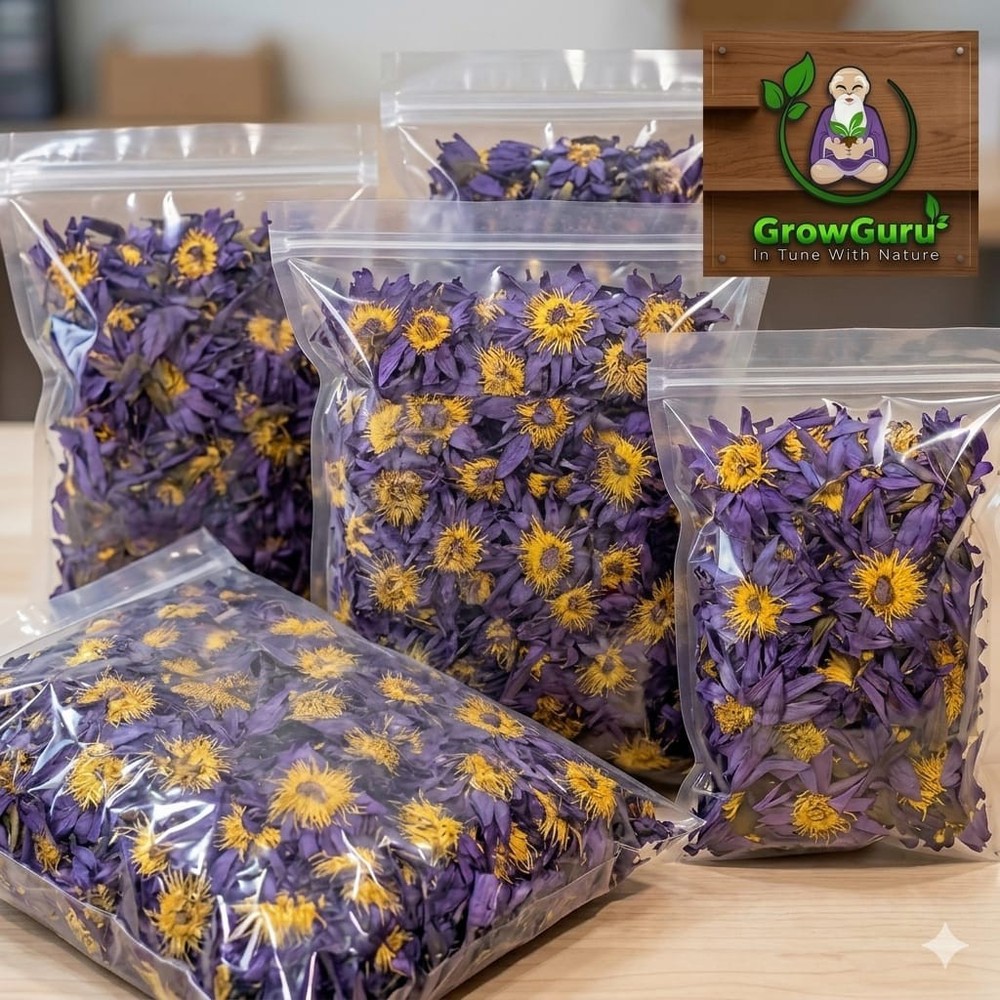 Blue Lotus Dried Flower Nymphaea Caerulea Herbal Tea 100% Natural Botanical Herb