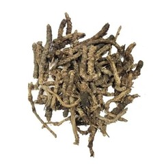 Jodnar Kutki Root Whole – Picrorhiza Kurroa Natural Ayurvedic Herb – 100% Pure