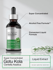 Gotu Kola Extract 2oz Alcohol-Free Concentrated Liquid Herb Gluten Free Non-GMO