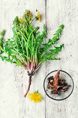 Organic DANDELION ROOT Powder |Taraxacum officinale| 2 oz/4oz/8oz/16oz