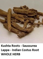 Kushta Root – Saussurea Lappa – Indian Costus Root Whole Original Indian Herbs