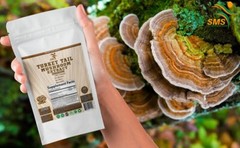 Turkey Tail Mushroom Extract 60 Capsules – Boosts Gut Health 50% Polysaccharides