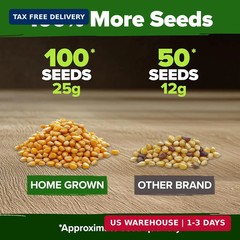 Golden Bantam Sweet Corn Seeds 100+ Heirloom Non-GMO Seeds for Planting, High Ge