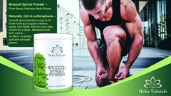 Organic Broccoli Sprout Powder – 35oz Superfood for Daily Nutrition Boost