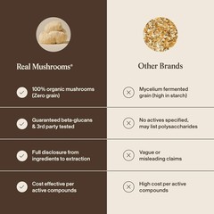Real Mushrooms Lion’s Mane 120 Caps | Organic Extract | Brain Focus & Memory
