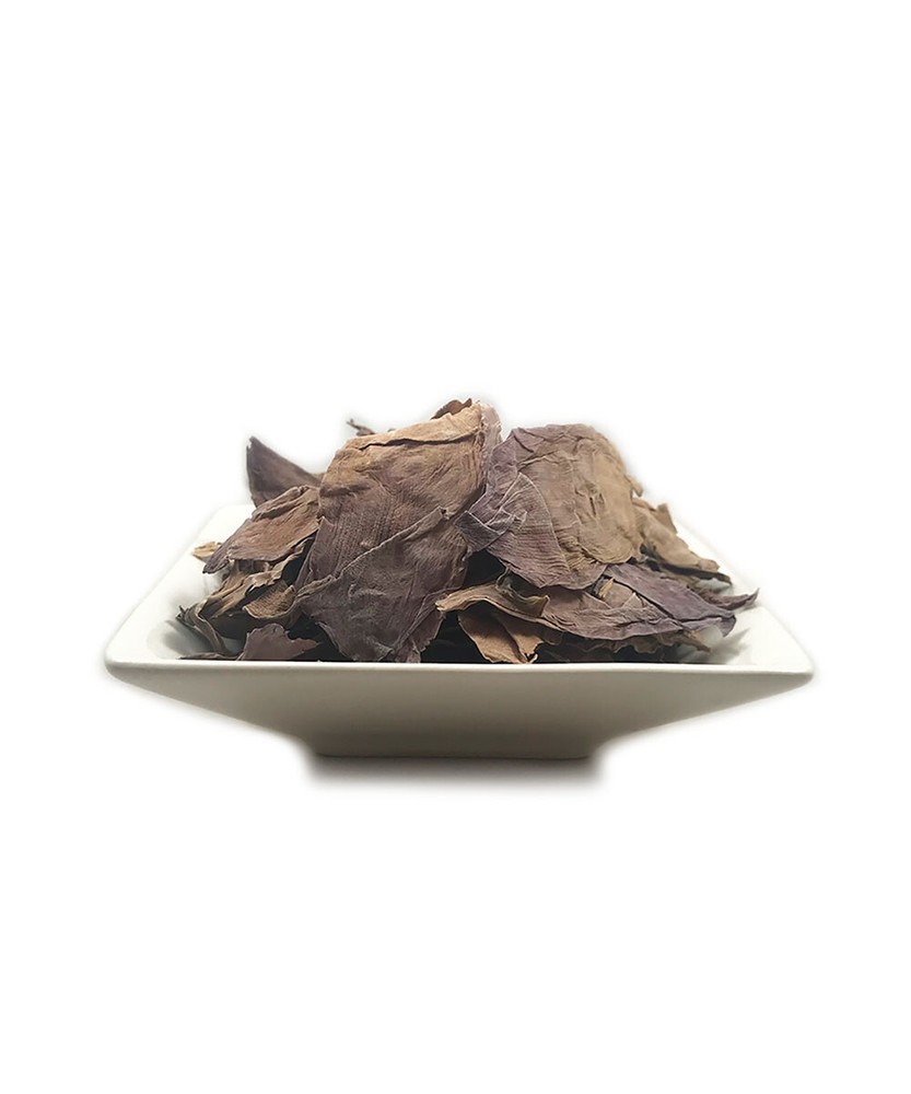 Sacred Lotus Petals (Nelumbo nucifera) 25g – New Harvest – Potent Tea + Sample
