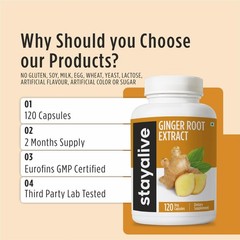 Pure Ginger Root Capsules 1000mg, 101 Extract Powder with 5% Gingerols, 120 P…