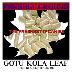 GOTU KOLA LEAF Powder Fresh Ground Tonic Purifier Energizing 100 V Capsules