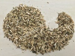 Wild Lettuce, L. virosa, Whole Herb, 1 oz Free Ship ~ Schmerbals Herbals