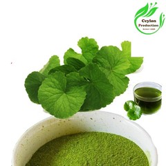 Gotu Kola Centella asiatica Leaves ground powder Dried Organic Herbal pennywort