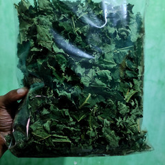 100% Pure Herbal Natural Dried Papaya Leaves (Carica Papaya) for Immunity 100g
