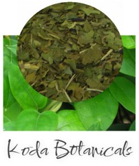 ORGANIC GYMNEMA Herbal Tea PREMIUM GRADE Gymnema sylvestre Dried Leaf