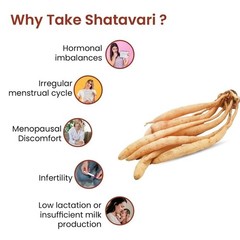 Shatavari (Asparagus Racemosus) Powder (100g) | 100% Pure Natural Organic s757