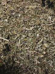 No.28 Mix – Lobelia Sage Catnip Colts Passion Skull Mullein Lettuce Damiana 1 oz