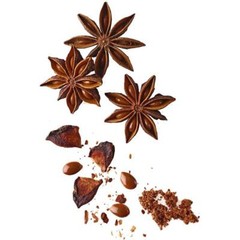 Anise Star Essential Oil | 1-4 floz | 100% Pure Natural Hand Crafted