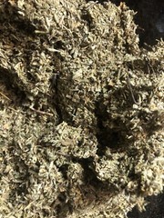 DAMIANA ORGANIC bulk cut c/s herb natural leaves wholesale 4 lbs pound