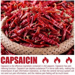 40pcs Capsicum Plaster Hot Muscle Strain Back Pain Relieving Patch Max Strength
