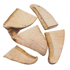 Dried Birch Polypore (Fomitopsis betulina) 100g ideal for teas & garden care