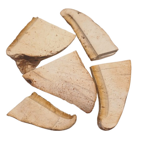 Dried Birch Polypore (Fomitopsis betulina) 100g ideal for teas & garden care