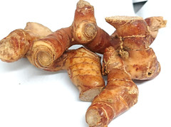 Fresh Galangal Organic “500 gr” – Lengkuas Lengkoas