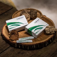 Lignosus Organic Tiger Milk Mushroom Sachets Lung Detox Cleanse 30 Sachet Box