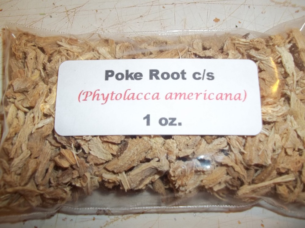 1 oz. Poke Root c/s (Phytolacca americana)