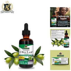 Nature’s Answer Olive Leaf Extract – Non-GMO, Alcohol-Free, 2 Ounce for Wellness