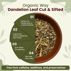 Organic Way Dandelion Leaf (Taraxacum Officinale) Cut & Sifted – Herbal Tea | Eu