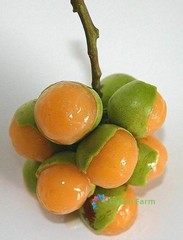 10 Seeds Melicoccus Bijugatus Quenepa Guinep Limoncillo Bajan Ackee Spanish Lime
