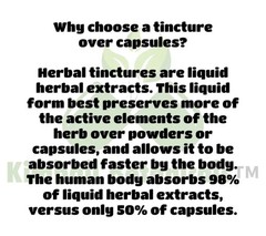 Organic Self Heal (Prunella Vulgaris) Double Extracted Tincture Glycerin Liquid
