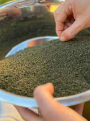 Kelp Granules or Powder | Natural Iodine-Rich SeaweedThyroid Support | 1/4/8 OZ