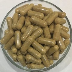Asparagus Racemosus (Shatavari) Extract Powder 40% Saponins For Women Health