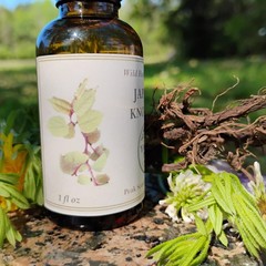 Organic Japanese Knotweed Extract, Knotweed tincture, Wild Hu zhang