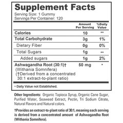 Ashwagandha Gummies Extract 30:1 50mg | 120 Count | 120 Servings | Non-GMO Vegan