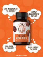 Reishi Mushroom Capsules 5000mg | 120 Count | Non-GMO | by Wiseshrooms