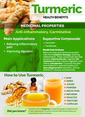 Turmeric Root Powder 2.5 lb Jar Curcumin Curcuma Longa 2 1/2lb Bulk Spice
