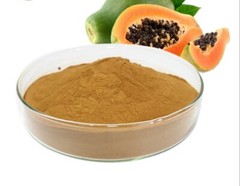 Papaya Fruit Extract Powder Carica Papaya 20% Flavonoids Free Shipping 500 Gram