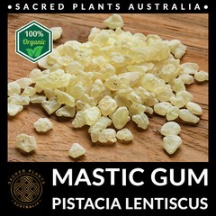 MASTIC GUM Resin 25g Tears of Chios | Pistacia Lentiscus Sacred Shaman Medicinal