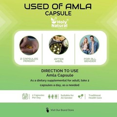 Holy Natural Amla Fruit Capsules, 120 Capsules d001