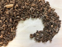 Dandelion Root, Taraxacum officinale, Roasted 1 oz FreeShip ~ Schmerbals Herbals