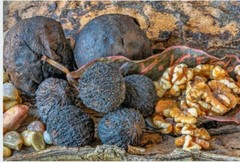 Black Walnut Hull Cut & Sifted Organic Herb Natural Herbal 28.3g Parasite Detox