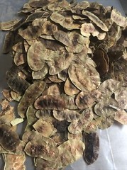 Senna Pods “West Indian Herbs” brand 1 oz. (And 1/2 oz senna leaves free!)