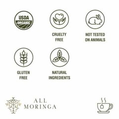 Premium Organic Moringa Leaf and Ginger Herbal Tea USDA Certified 28 Tea Bags