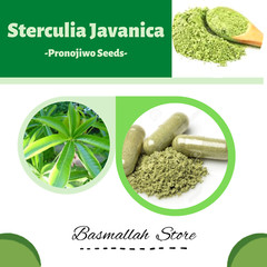 CAPSULES Pronojiwo Seeds Sterculia Javanica Organic WildCrafted Fresh Natural