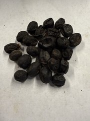 1 lb sun/plant Dried Saw palmetto Berry