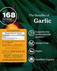 Organic Garlic Liquid Extract for Heart Health & Circulation Support – 4 oz