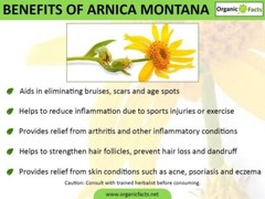 Arnica Tincture ~FAST Pain Relief. Arthritis, Migraines, Bruises, Injury & Spasm