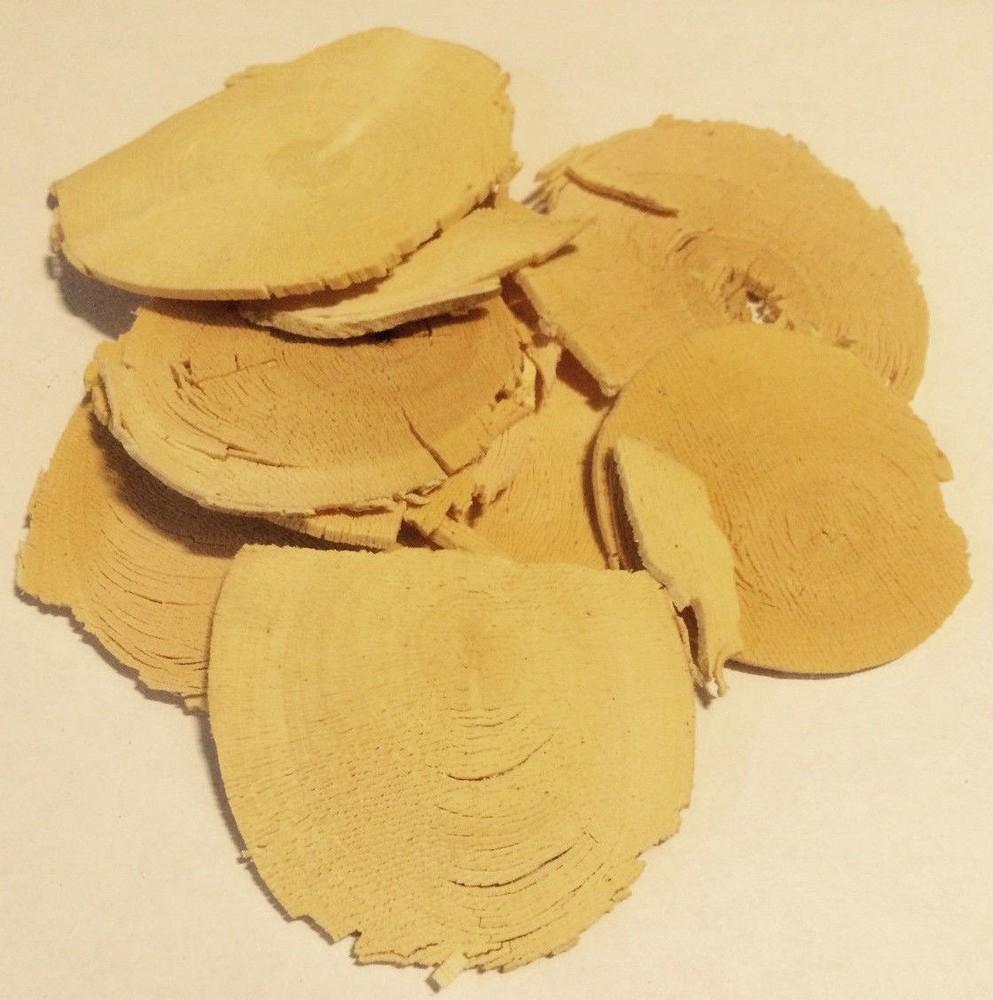 1 oz. Tongkat Slices (Eurycoma longifolia) Wildharvested Indonesia