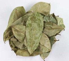 WHOLESALE!! Natural Dried Sour Sop Leaf ( Graviola ) Bulk Herb